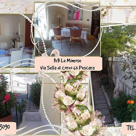 Le Mimose Bed & Breakfast Pescara Bagian luar foto